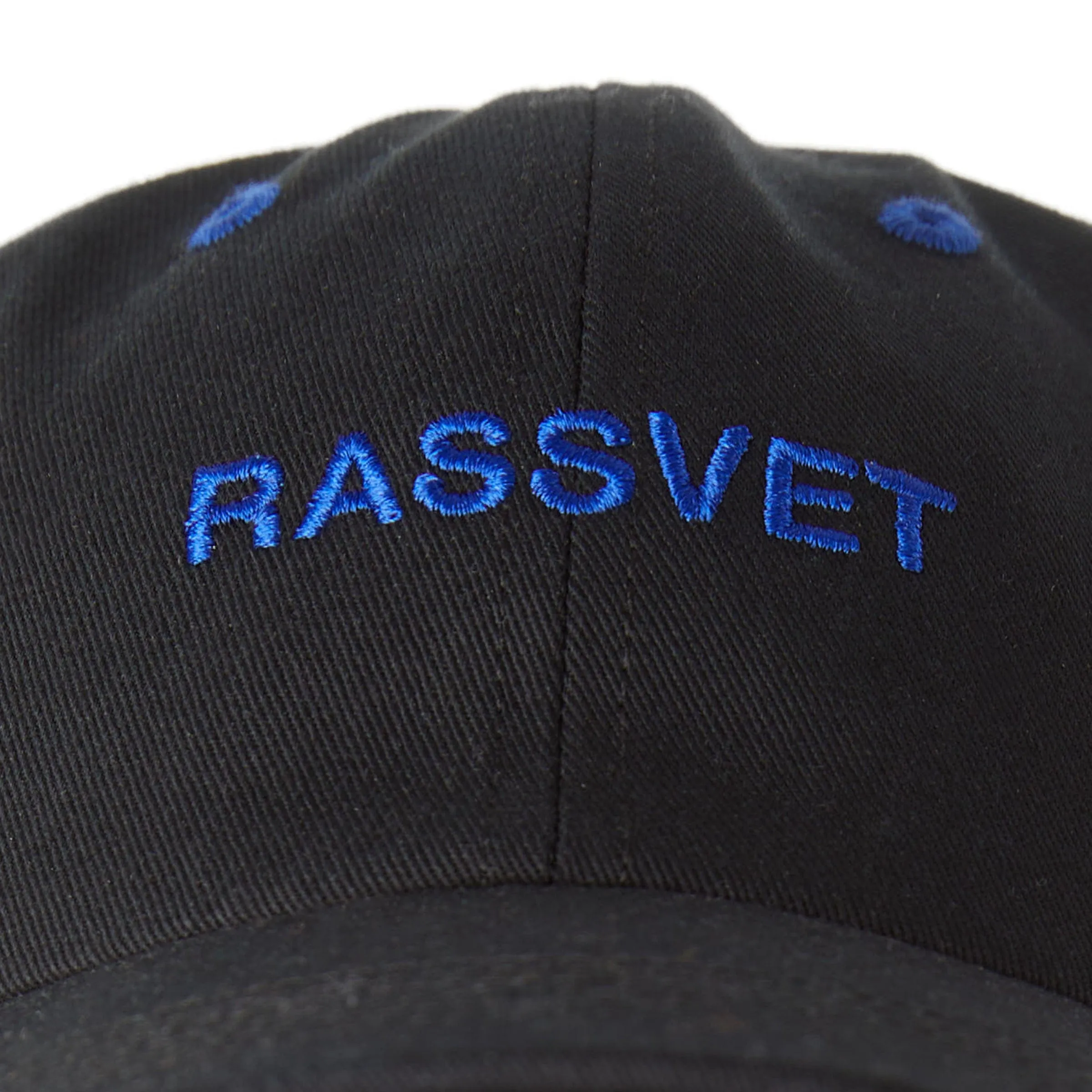 6 -PANEL RASSVET LOGO CAP