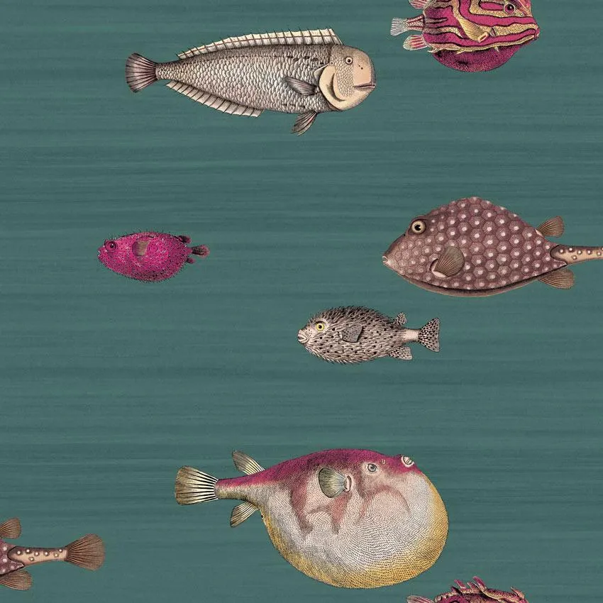 Acquario Wallpaper - 114/12024 - Fornasetti - Cole & Son