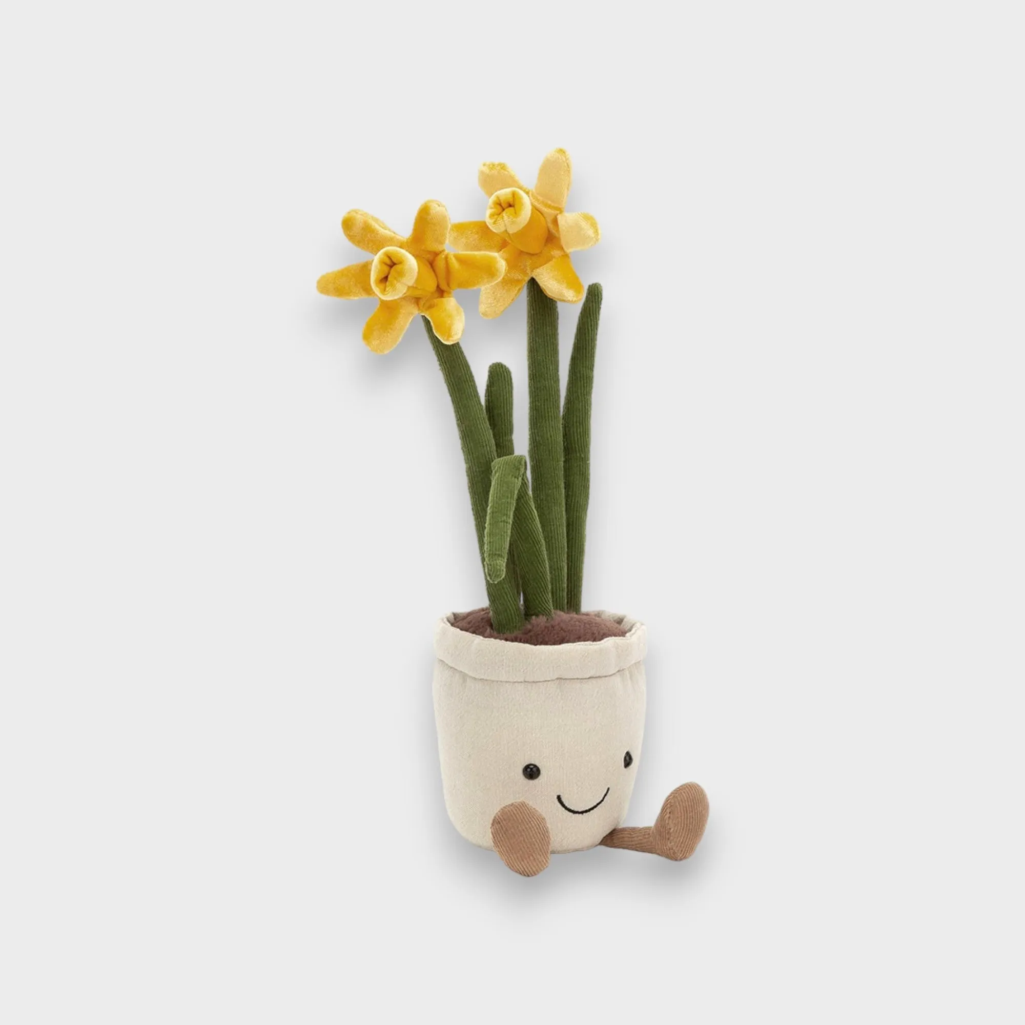 Amuseable Daffodil