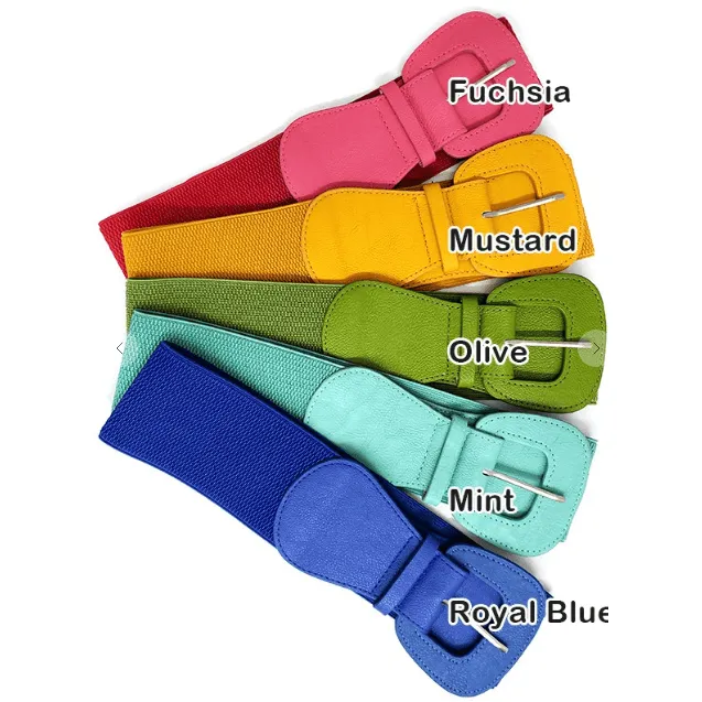 Basic Belt Stretch Elastic with Buckle in many colors