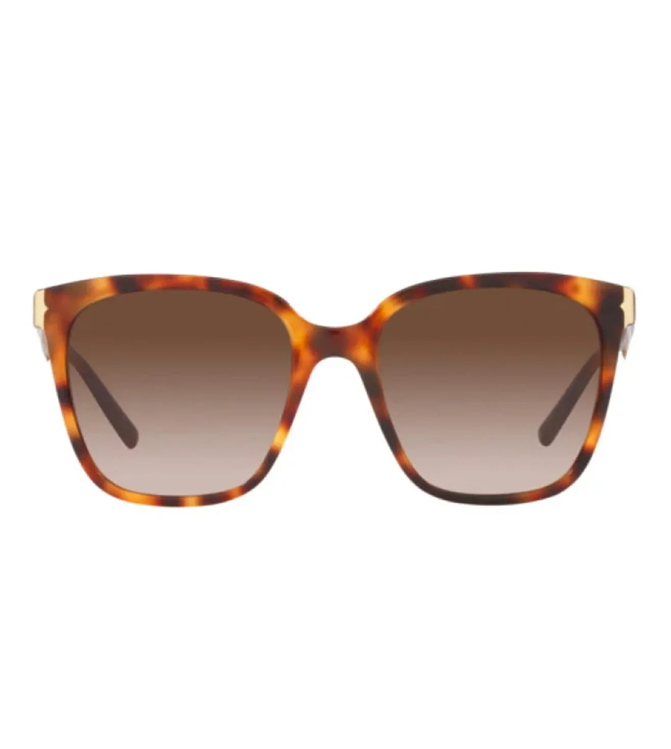 Bvlgari Men Havana Butterfly Sunglasses