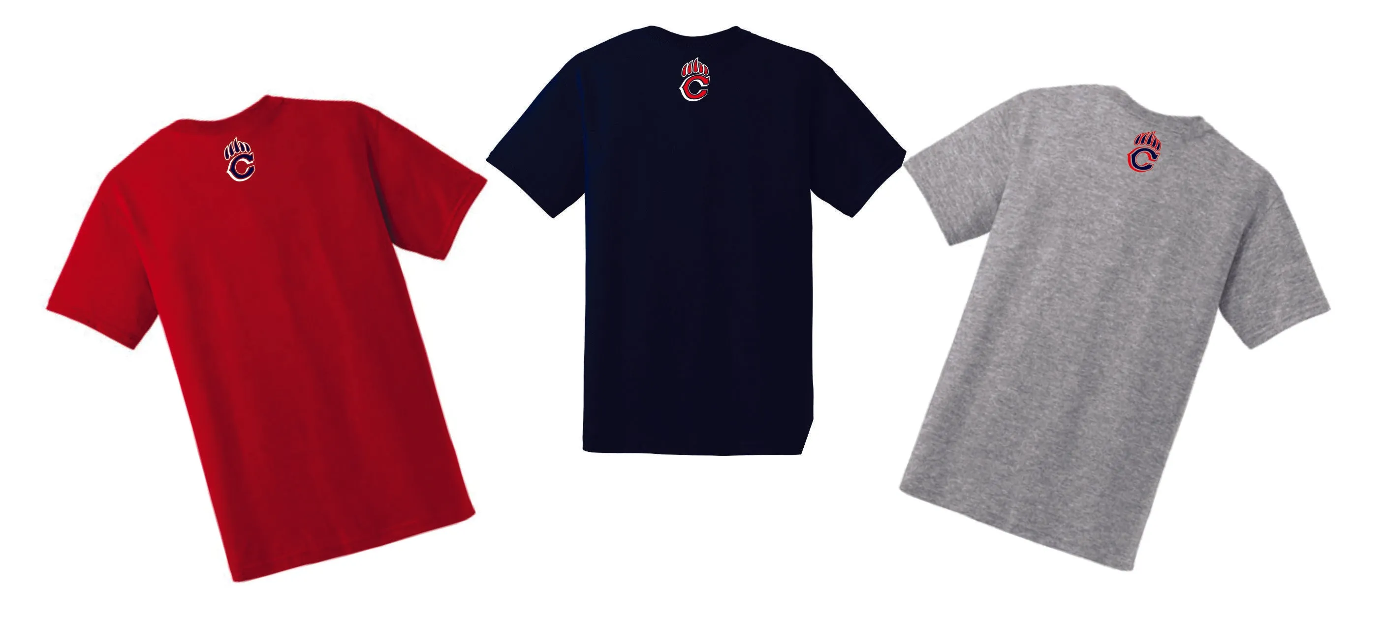 Chap Swim & Dive Swimmer Basic Tee- Matte or Glitter