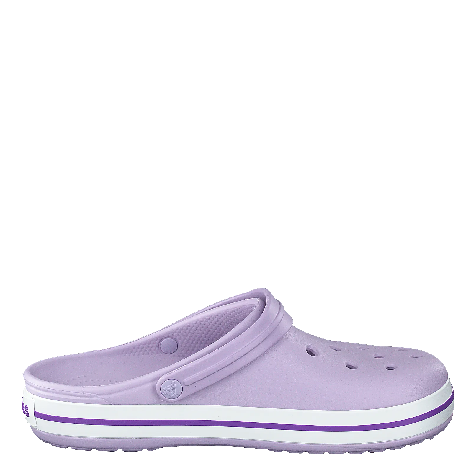 Crocband Lavender/Purple