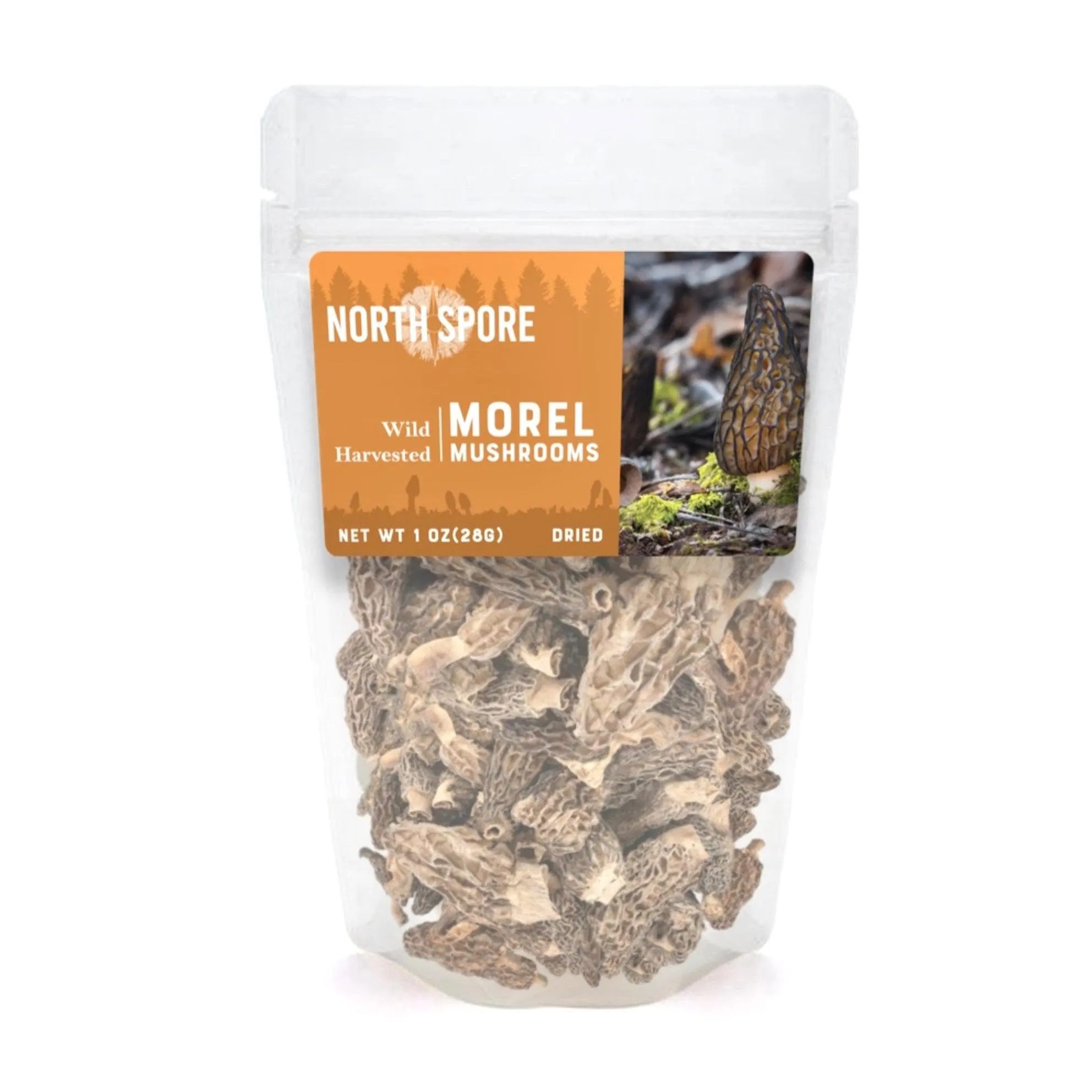 Dried Wild Mushrooms Variety Pack