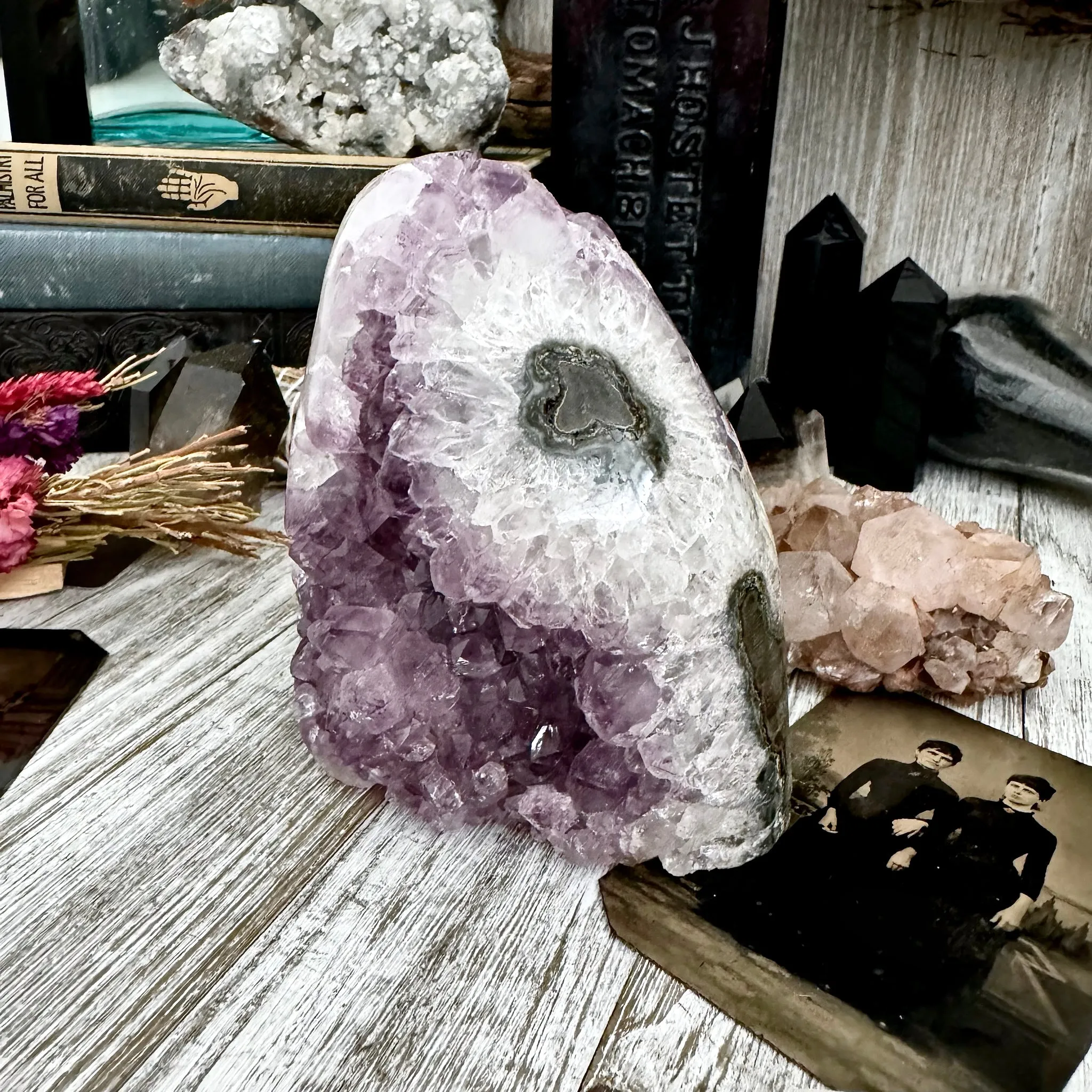 Large Self Standing  Amethyst Geode Crystal Cluster / FoxlarkCrystals