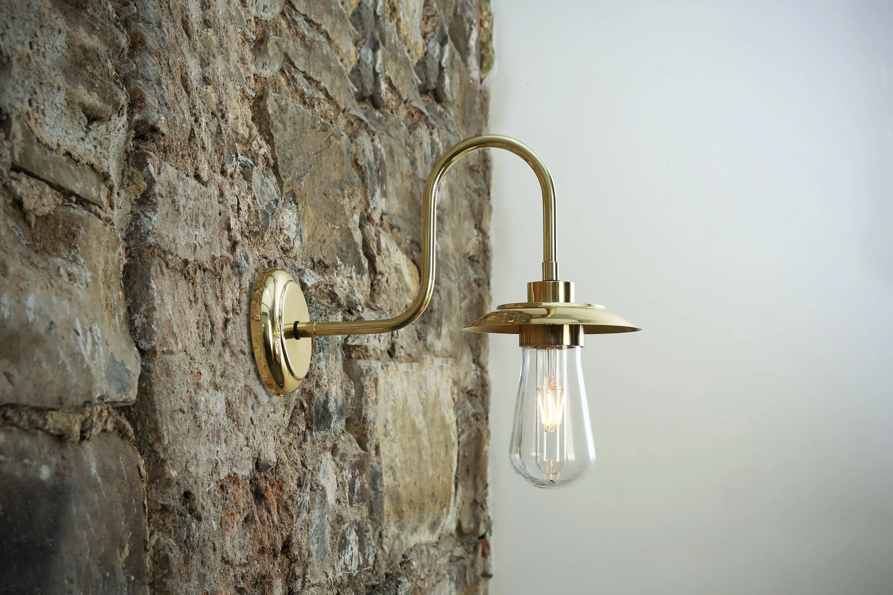 Ren Brass Swan Neck Wall Light